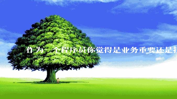 作为一个程序员你觉得是业务重要还是技术重要？