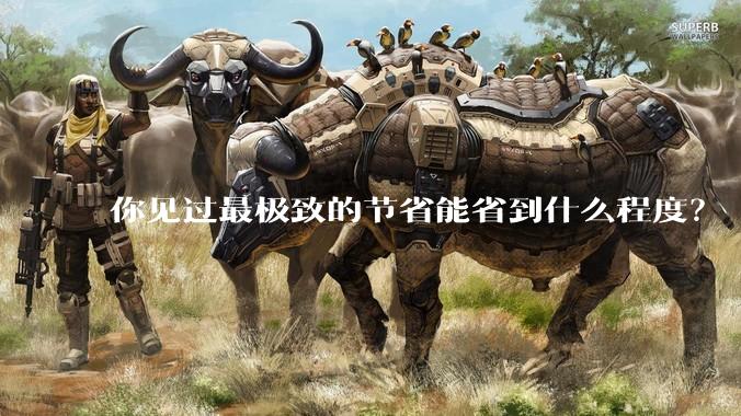 你见过最极致的节省能省到什么程度？