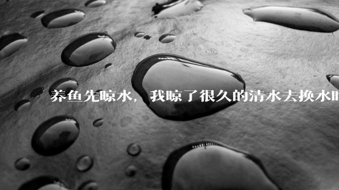 养鱼先晾水，我晾了很久的清水去换水时，发现居然全发霉了，想不明白，求解？