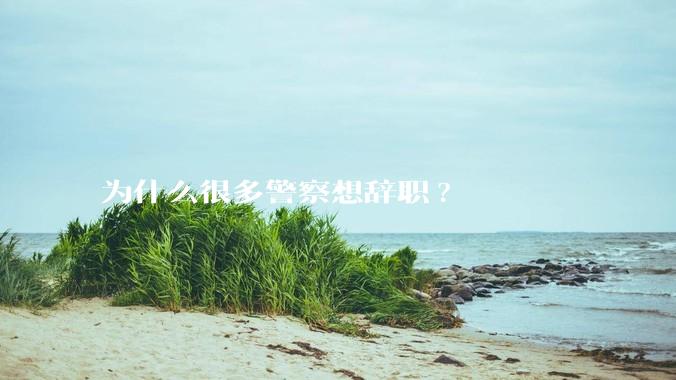 为什么很多警察想辞职?