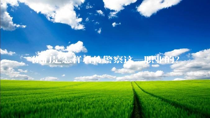 你们是怎样看待警察这一职业的？