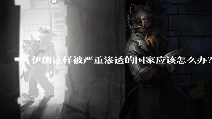 伊朗这样被严重渗透的国家应该怎么办？