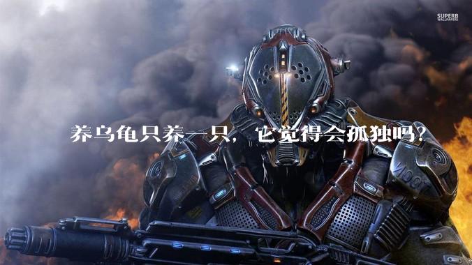 养乌龟只养一只，它觉得会孤独吗？