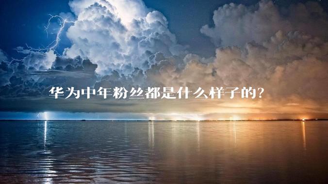 华为中年粉丝都是什么样子的？