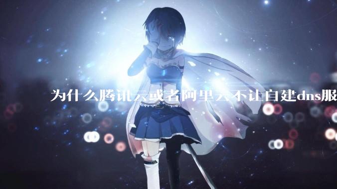 为什么腾讯云或者阿里云不让自建dns服务器?