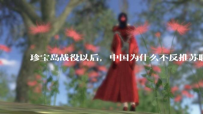 珍宝岛战役以后，中国为什么不反推苏联?