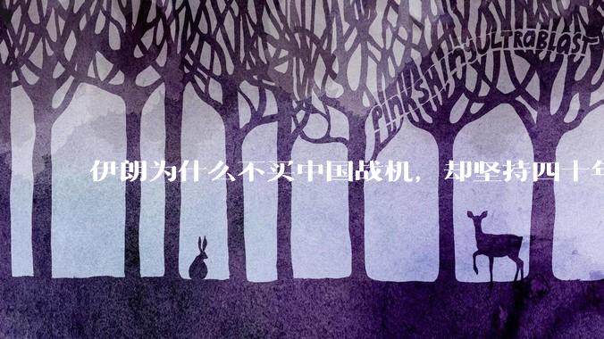 伊朗为什么不买中国战机，却坚持四十年用老旧的苏联米格29、美国F14雄猫战斗机?
