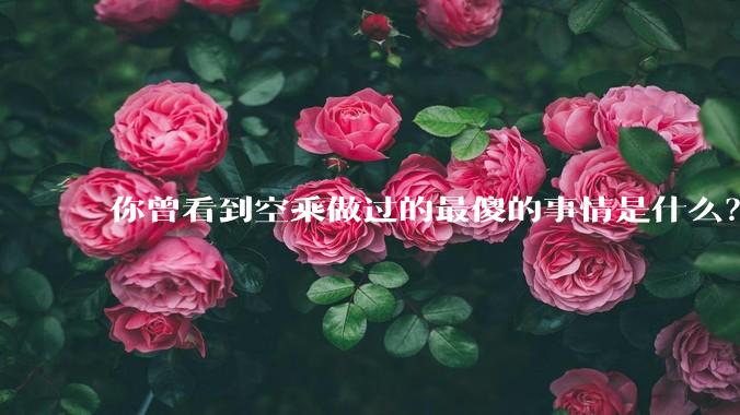 你曾看到空乘做过的最傻的事情是什么？