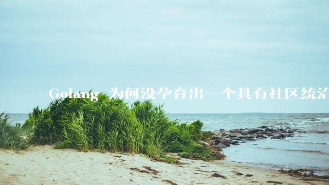 Golang 为何没孕育出一个具有社区统治力的框架？