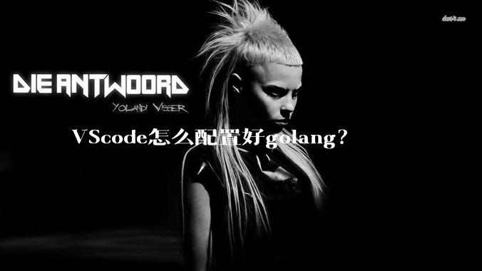 VScode怎么配置好golang？