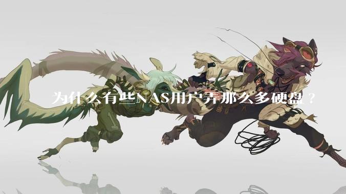 为什么有些NAS用户弄那么多硬盘?