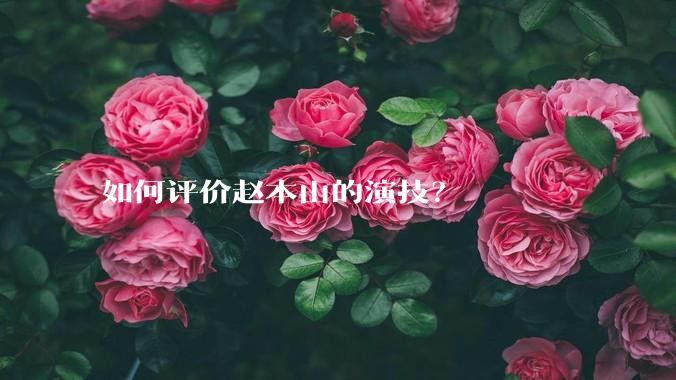 如何评价赵本山的演技？