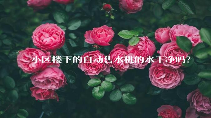 小区楼下的自动售水机的水干净吗？