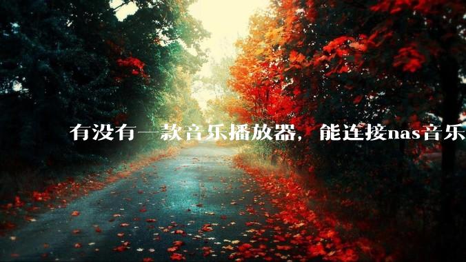 有没有一款音乐播放器，能连接nas音乐，创建音乐库，自动匹配歌词封面等等？类似infuse的概念呢？