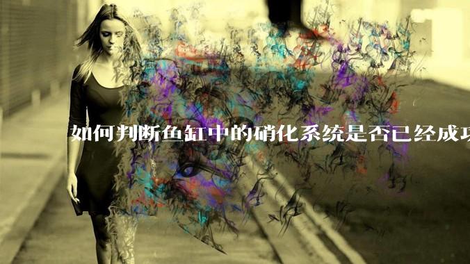 如何判断鱼缸中的硝化系统是否已经成功建立？