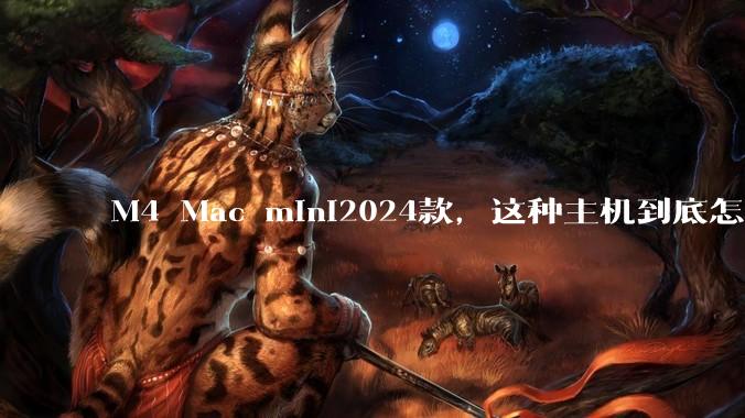 M4 Mac mini2024款，这种主机到底怎么样呀？