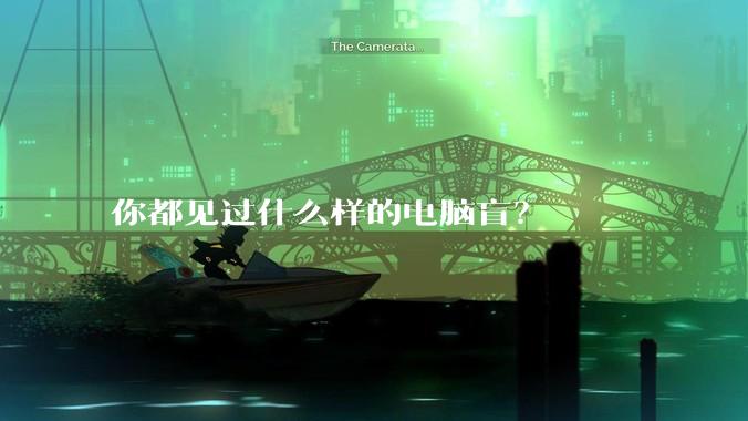 你都见过什么样的电脑盲？